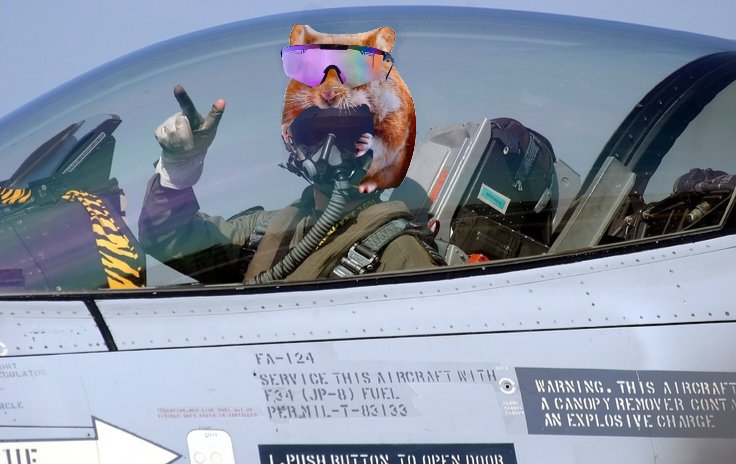 <a href="/amos_j1/">𝑨𝒎𝒐𝒔 𝑱𝟏™</a> <a href="/nomnom_solana/">nom nom</a> Hunger never stop 😁

$nomnom