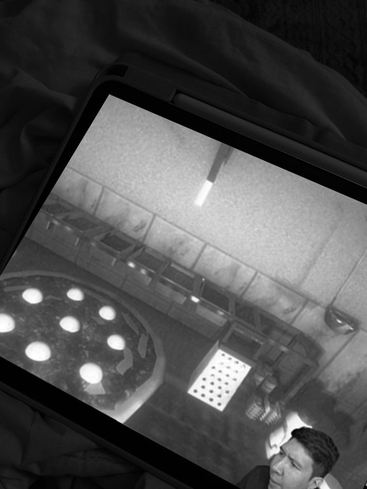 蔡, Mikhael Geraldo. tweet media