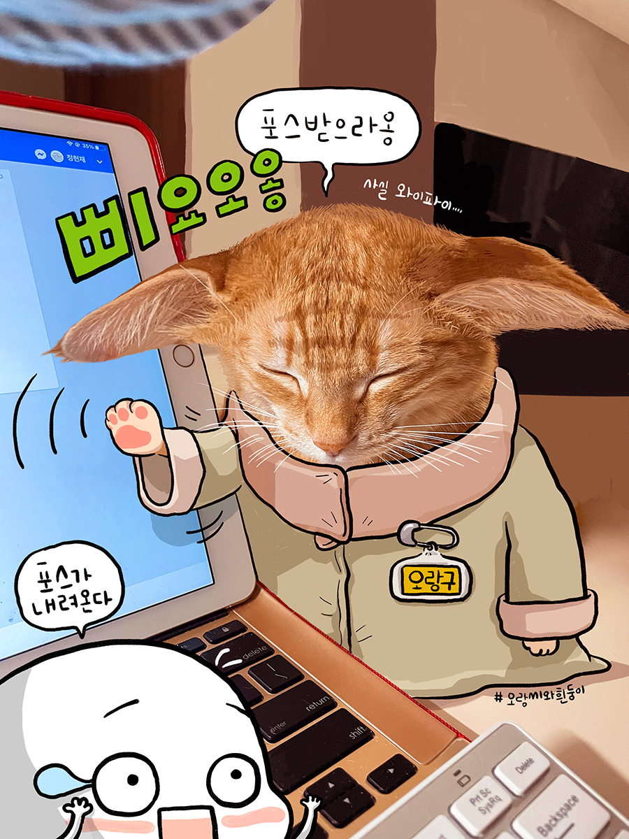 perytail's tweet photo. "너희는 만화를 보게된다 보게된다 보게된다."만화좀 봐주라.

https://t.co/dGztOOCQwb https://t.co/oTxRthK6zq