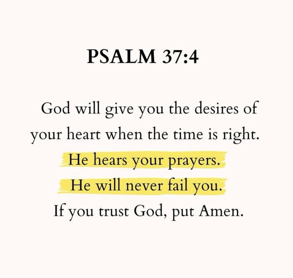 Holy Bible tweet media