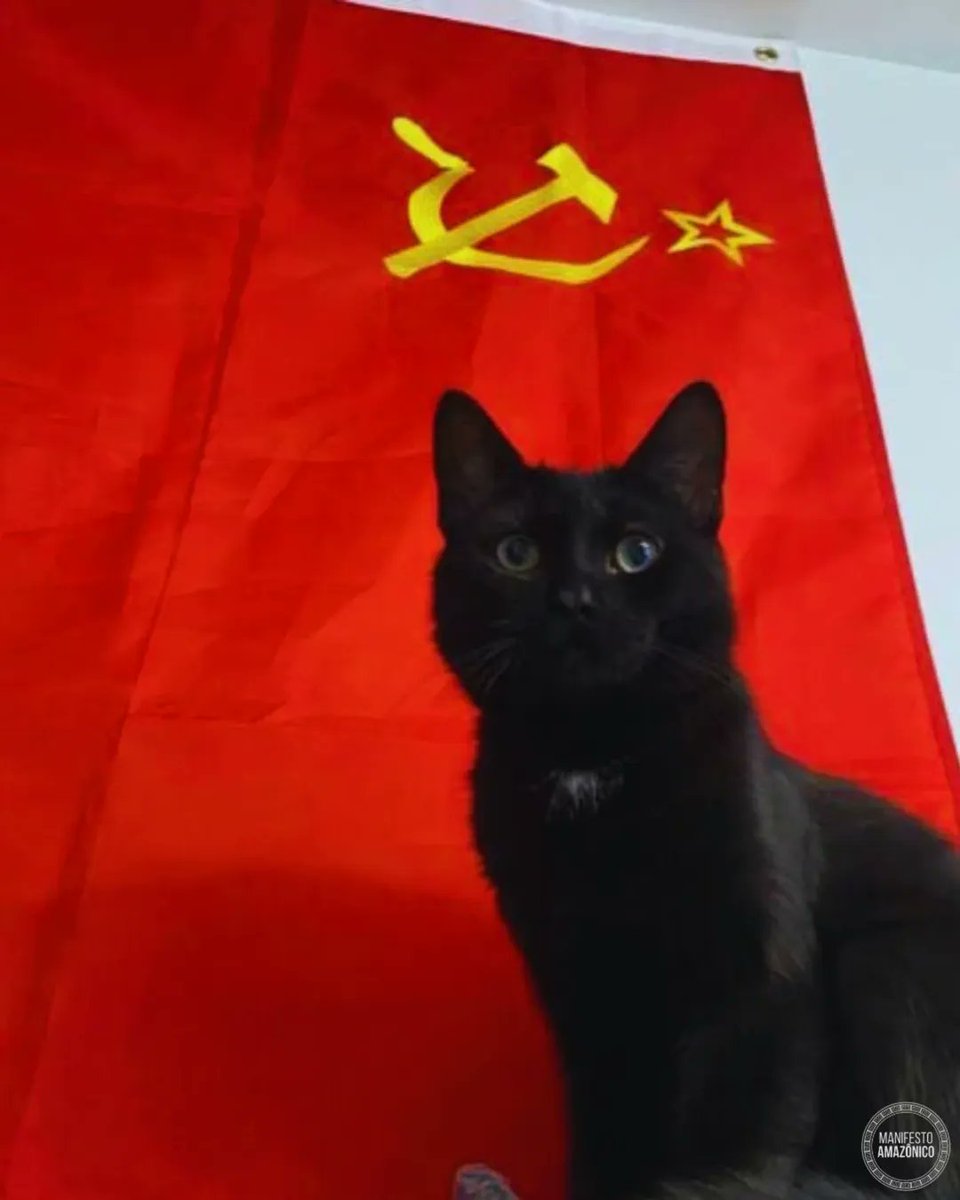 Antifa_Ultras tweet media