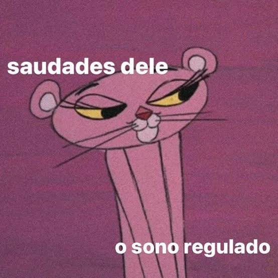 Renan Callegari tweet media