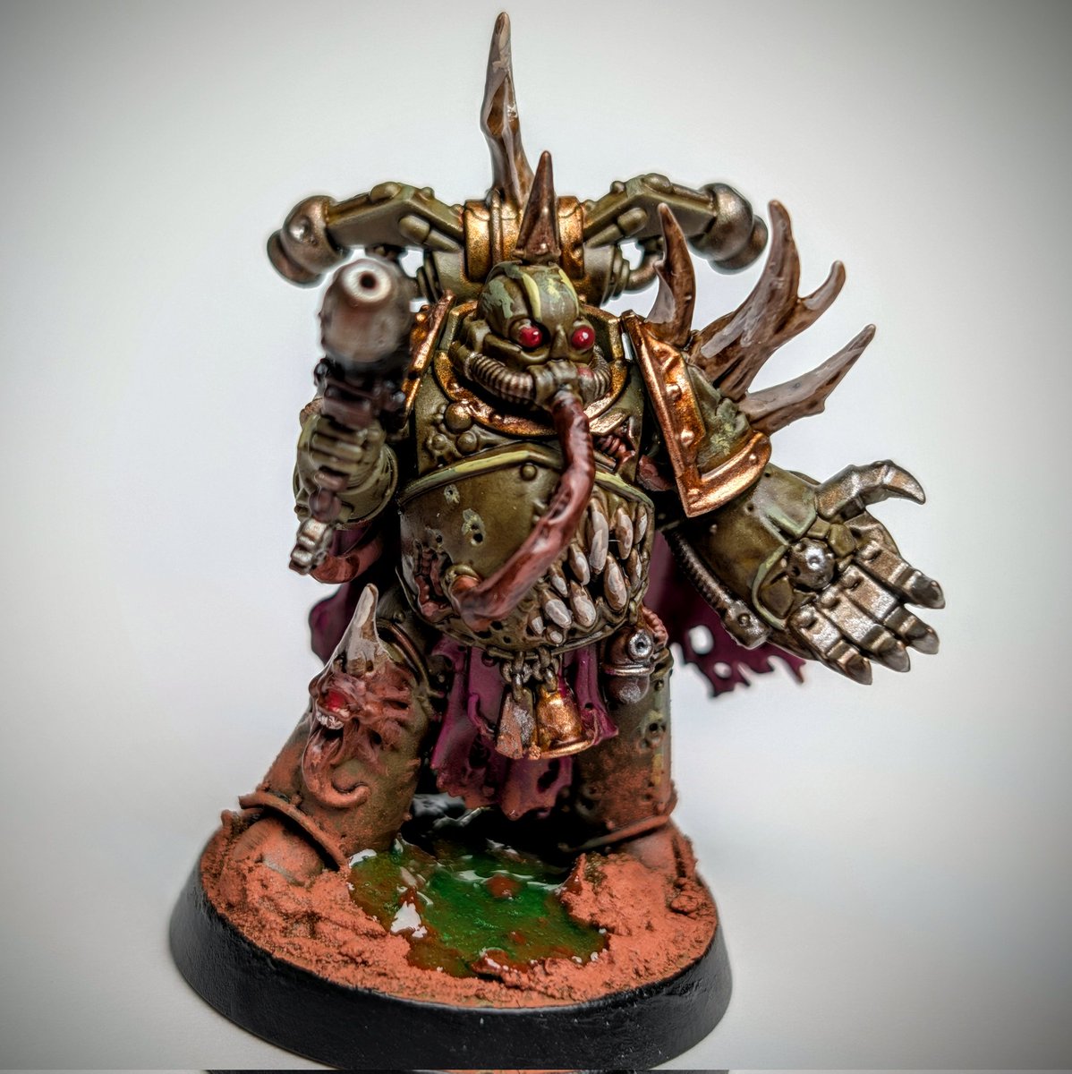 Kyle Curtis tweet media