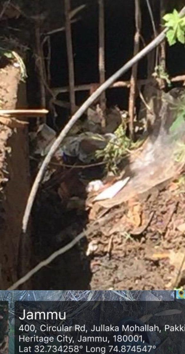 k. Kapoor tweet media