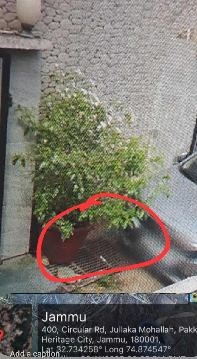 k. Kapoor tweet media