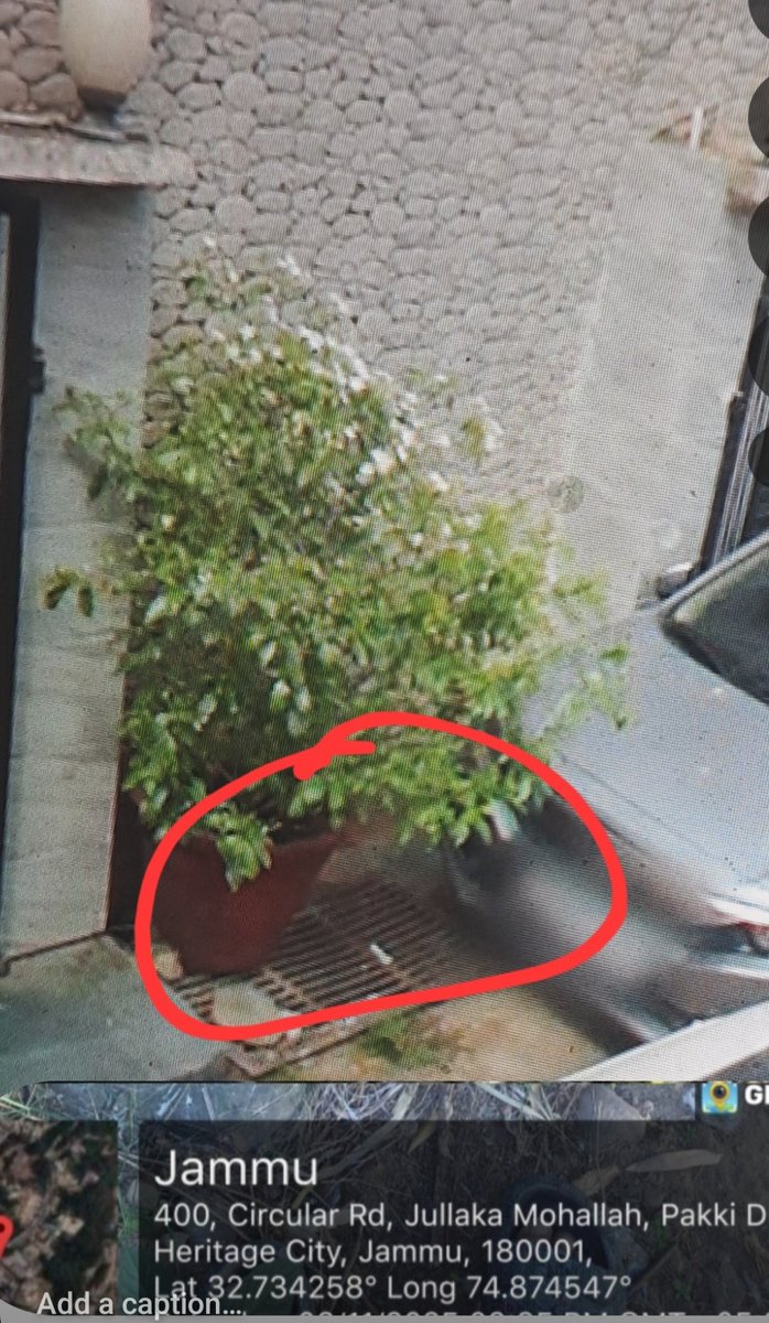 k. Kapoor tweet media