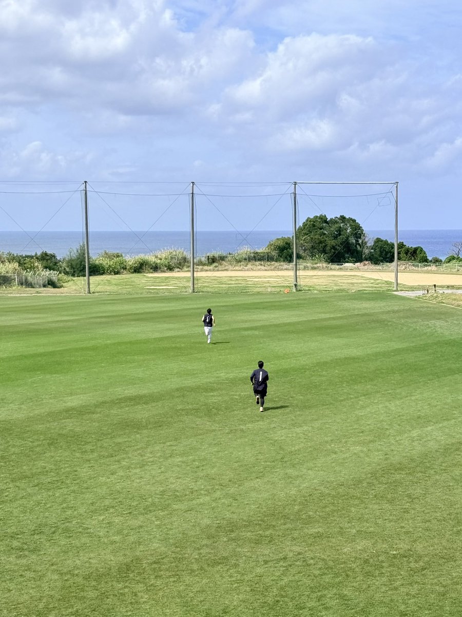 배영은 tweet media