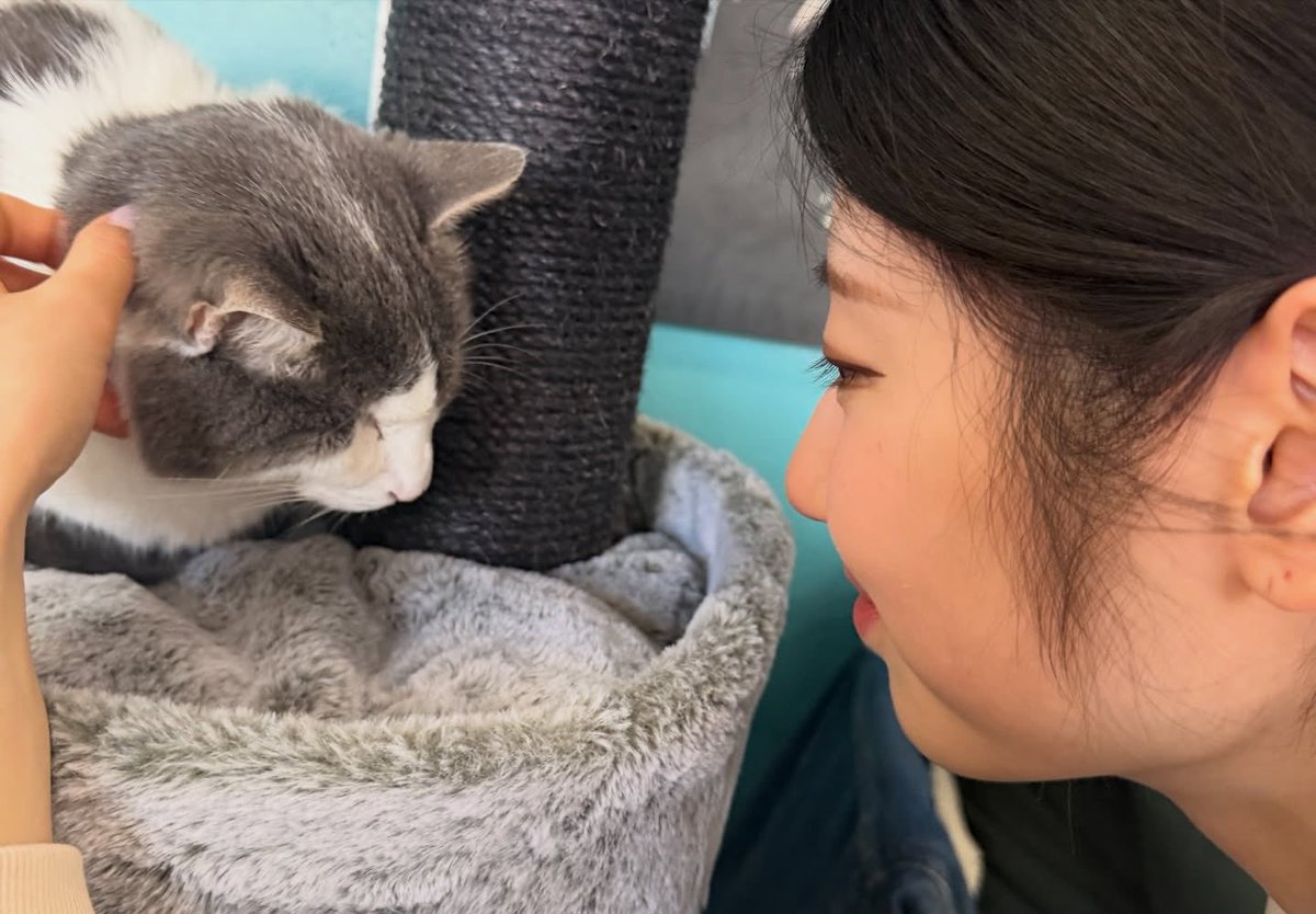 아!!! 뽑.                                   뽀해야돼 . . . 
암쏘쏘리