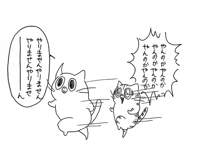 華麗なスルー、老キャット 