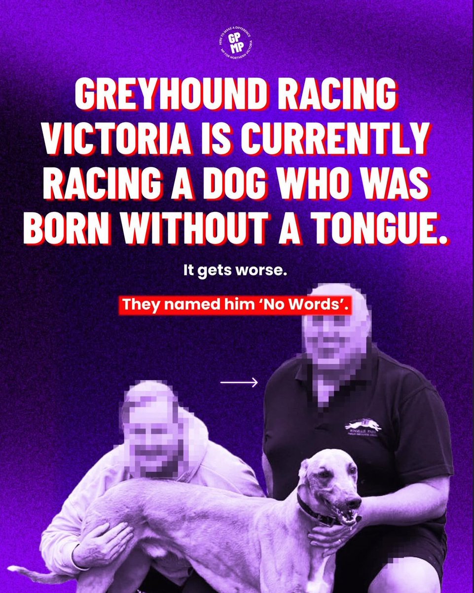 DOG RACED WITH NO TONGUE 🤬

Georgie Purcell MP: "You honestly can’t make this s**t up."

Born without a tongue. They called the dog "No Words". And they raced him anyway.

Dogs rely on panting to cool themselves down and when you strip that away you risk heat stress, collapse