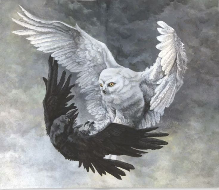 Priestlyclass Strongman tweet media