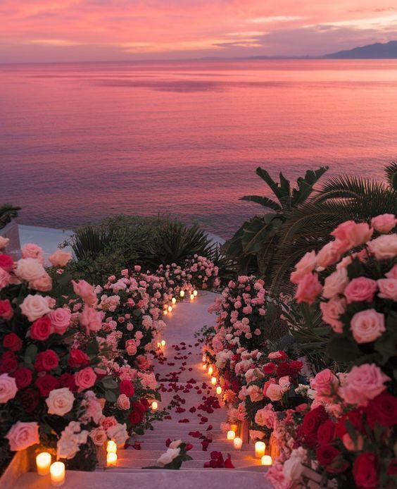 Greenery lovers (@love_greenery) on Twitter photo 