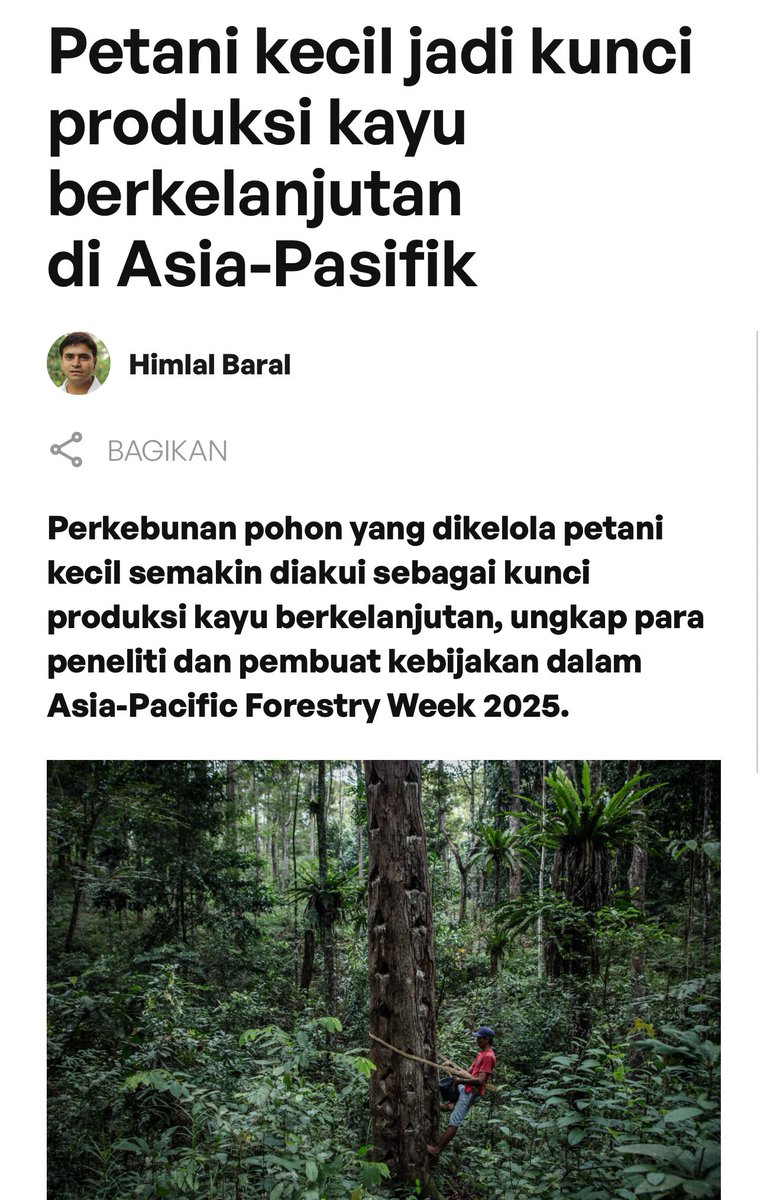 Aida Greenbury tweet media