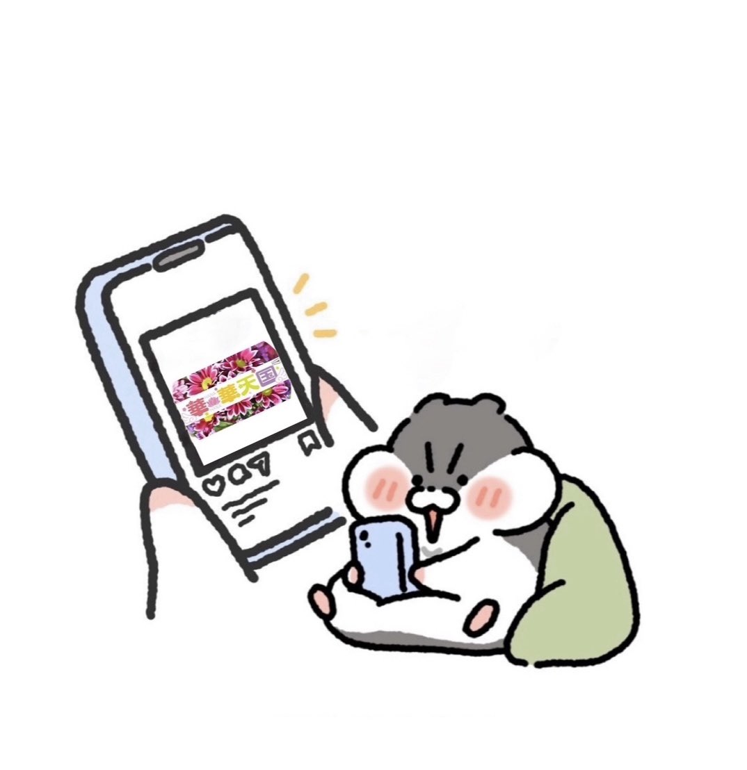 🐹きーちゃん

🌸華華天国🌸🎙️生放送ちゅ〜🐾

#華天864  #ラジオ沖縄　#雑草