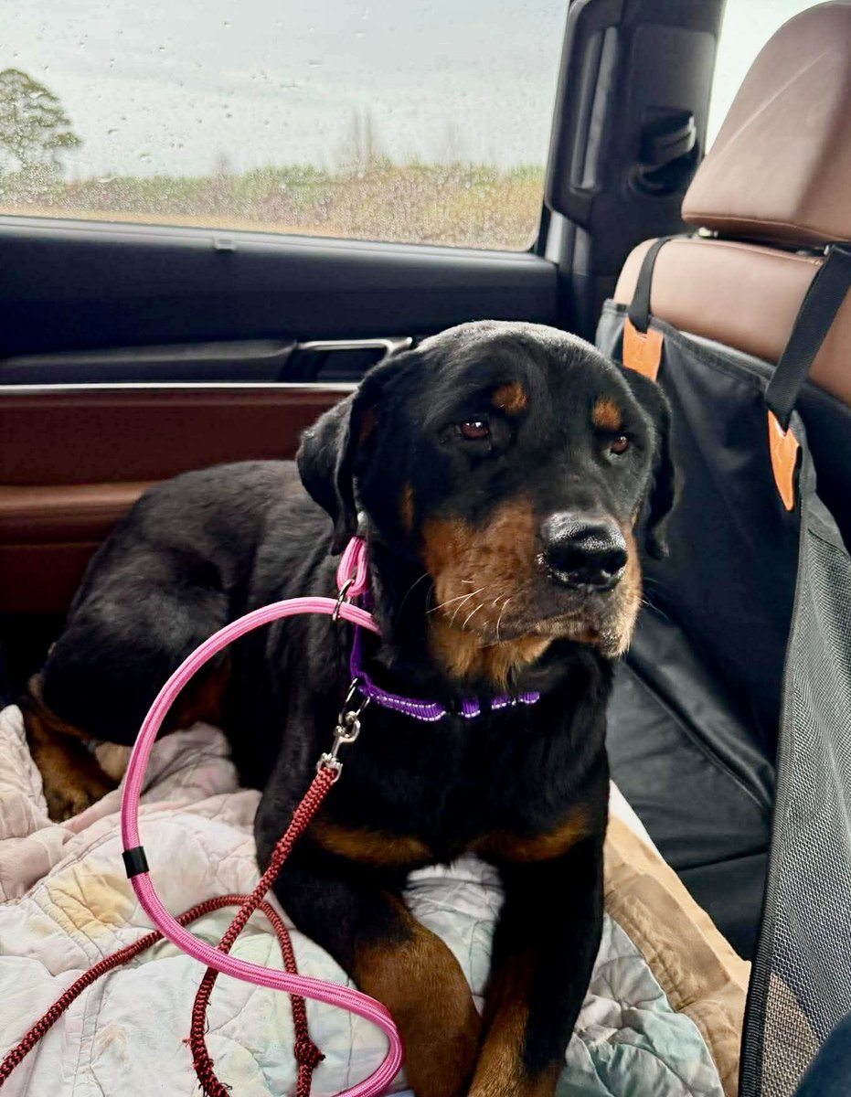 Donna Lac tweet media