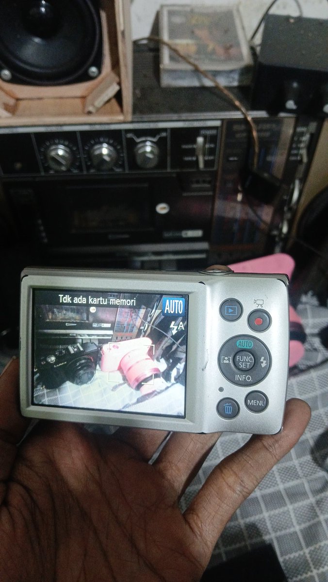 plutoO🦋 tweet media