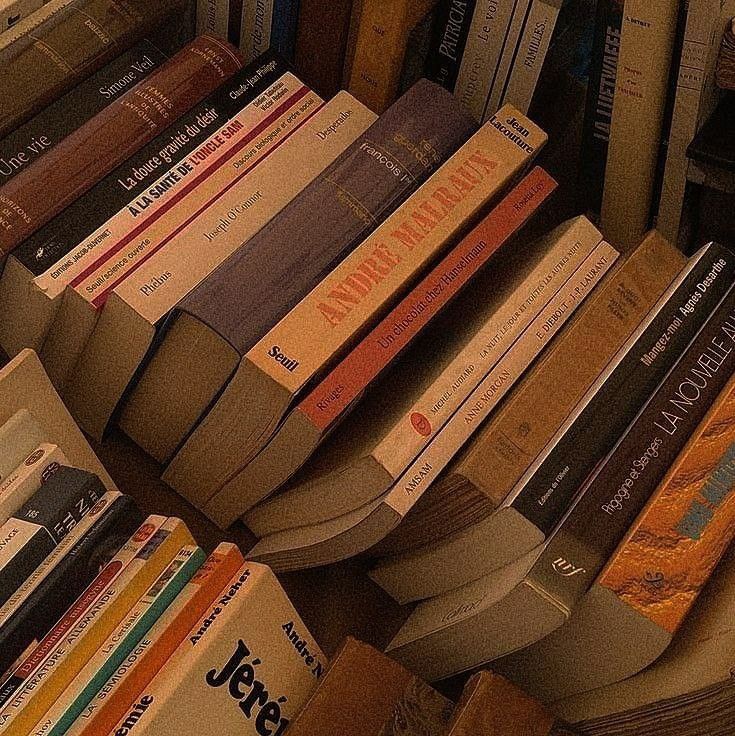 I/E/Elia ⚢ ᓚᘏᗢ tweet media