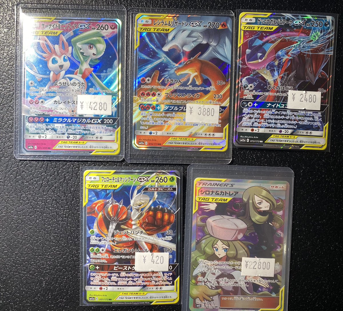 ╭━━━━━━━━━━━━━╮ 🌟新商品入荷