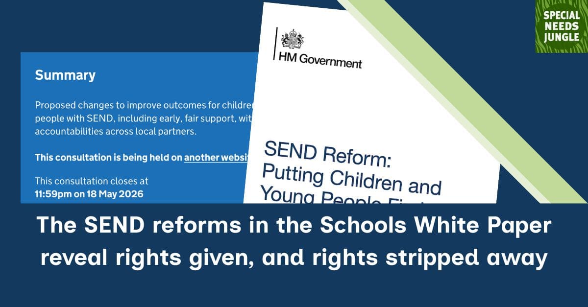 Special Needs Jungle tweet media