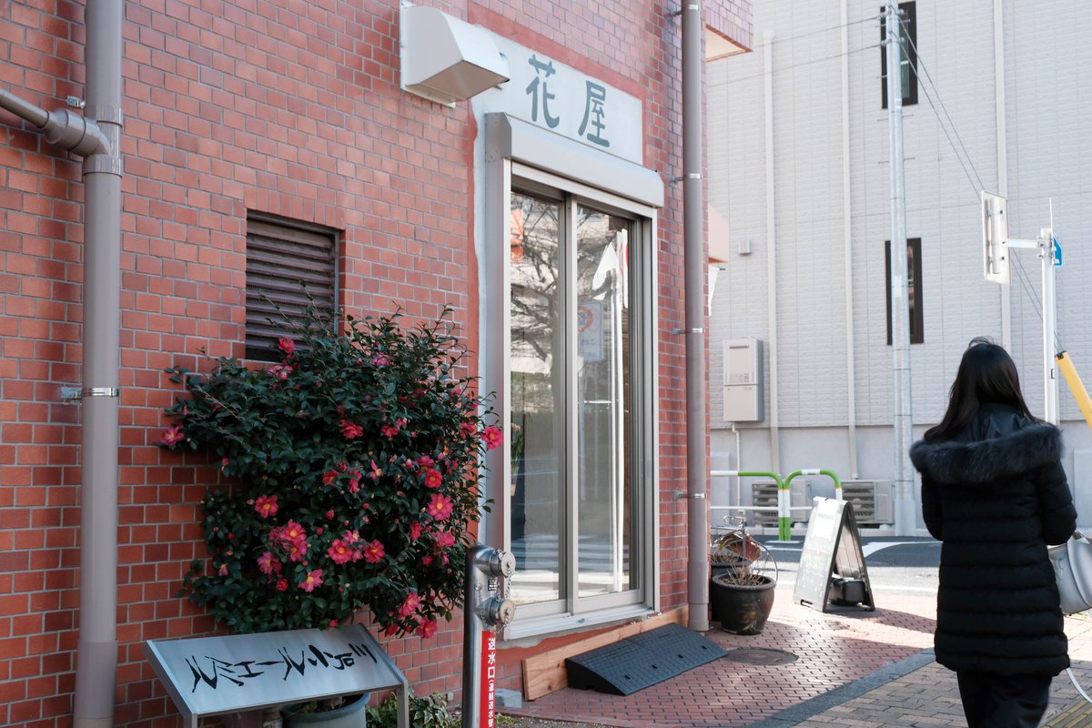 街歩き shot on #FUJIFILMXE5 #XE5 #xf1855 FUJIFILM X-E5 + XF18