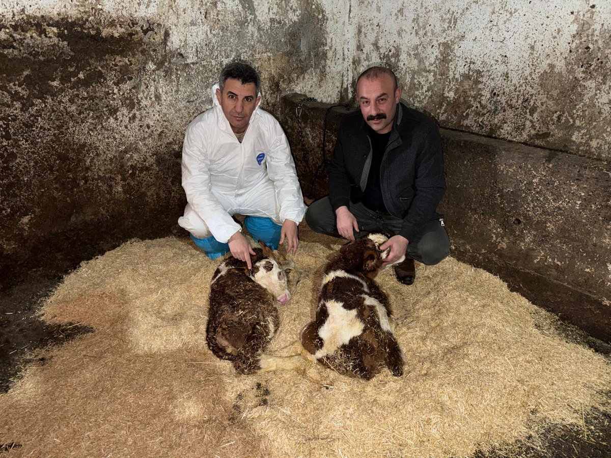 Necattin GÖNÇ tweet media