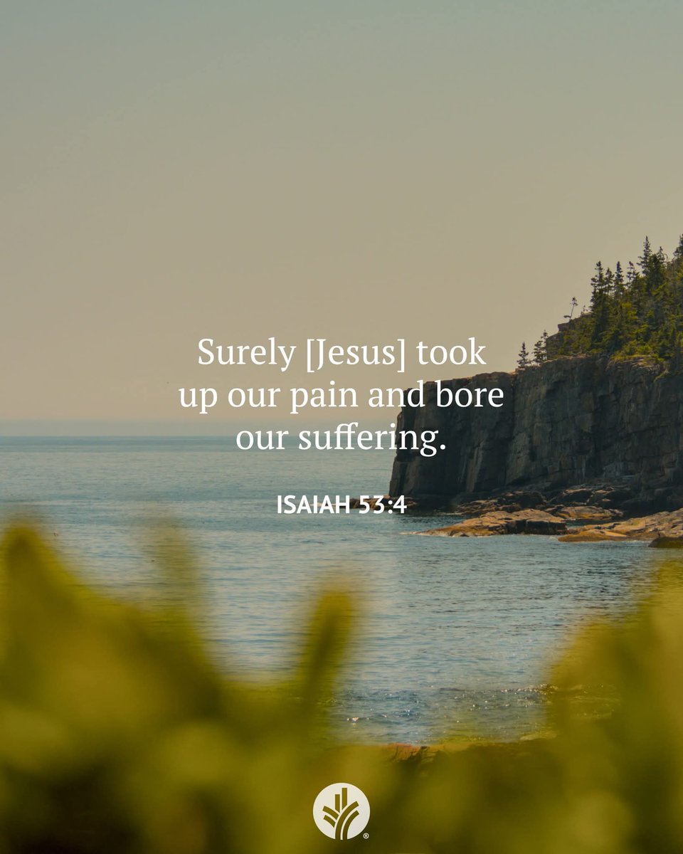 How might you look past outward appearances to see the humanity of others? When you think of Jesus, how do you picture Him?

Dear Jesus, please help me to see others as beautiful beings created in Your image.
