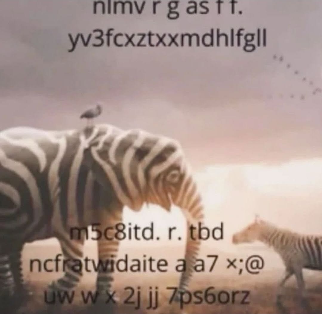 nlmv r g astt.
yv3fcxztxxmdhlfgll

m5c8itd. r. tbd
ncfratwidaite a a7 x;@
uw w x 2j ij 7ps6orz