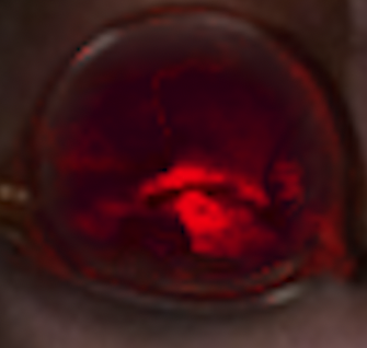 TheOneWhoRings's tweet image. baby with a mad hatter hat on...
(the reflections of henry's glasses, when talking to Holly  - as Max and Holly watch) S05E05
#strangerthings
#reflectiongate