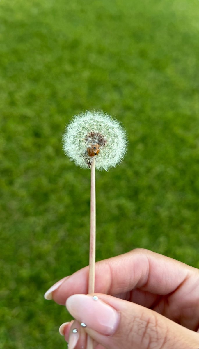 KATSEYE News tweet media