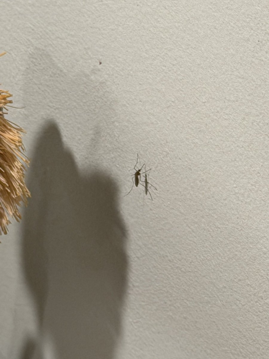 Julien Cadot tweet media