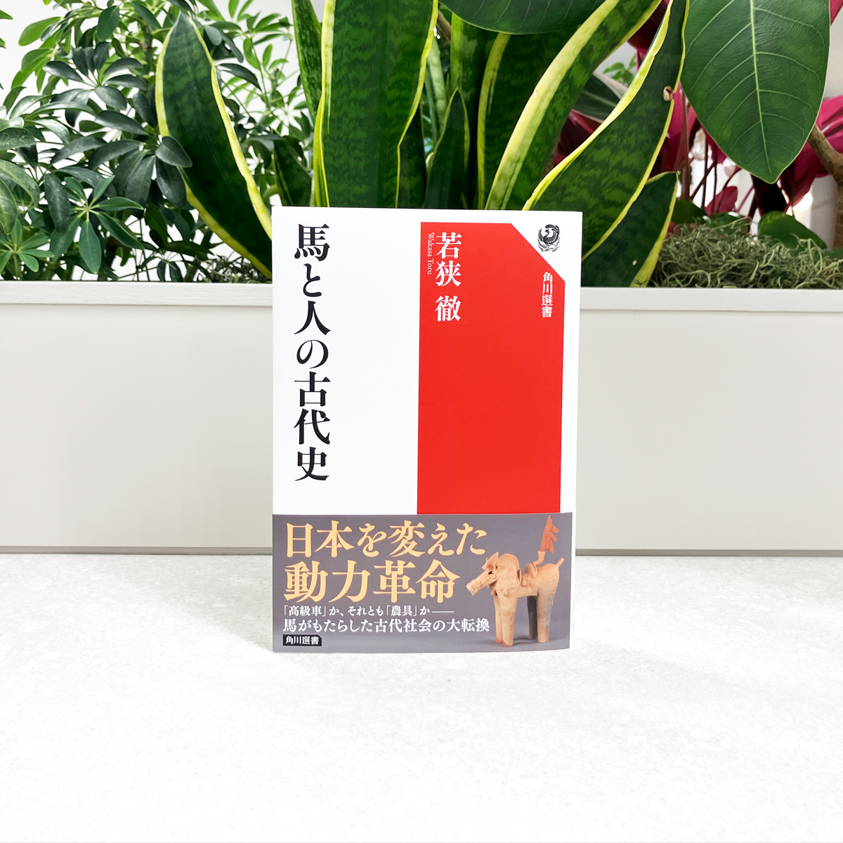 kadokawagakugei's tweet image. 本日発売、 #AERA 3月2日号の「アエラ読書部」で
星野博美さんが、若狭徹『馬と人の古代史』（角川選書）をご紹介くださいました。

「モノクロだった古代が彩色動画になったよう」

🐎🐎🐎🐎🐎🐎🐎🐎🐎🐎🐎🐎🐎