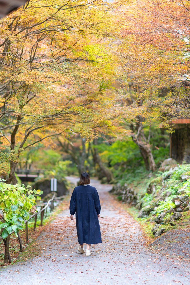 真庭観光局 <a href="/maniwatrip/">真庭観光局</a> 様の写真を撮影させていただきました。

オリジナルウェア・グッズ、ロゴ・イラストデザイン、写真撮影・動画制作、ホームページ制作など各種OEMのご依頼・ご相談はHP・DMからお気軽にご連絡ください☟

0867.jp