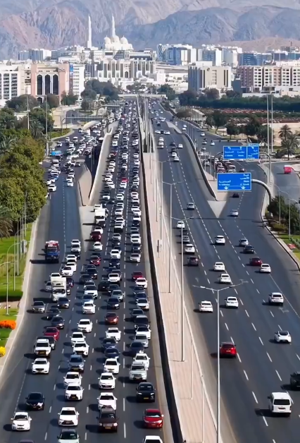 ريهام ناصر tweet media