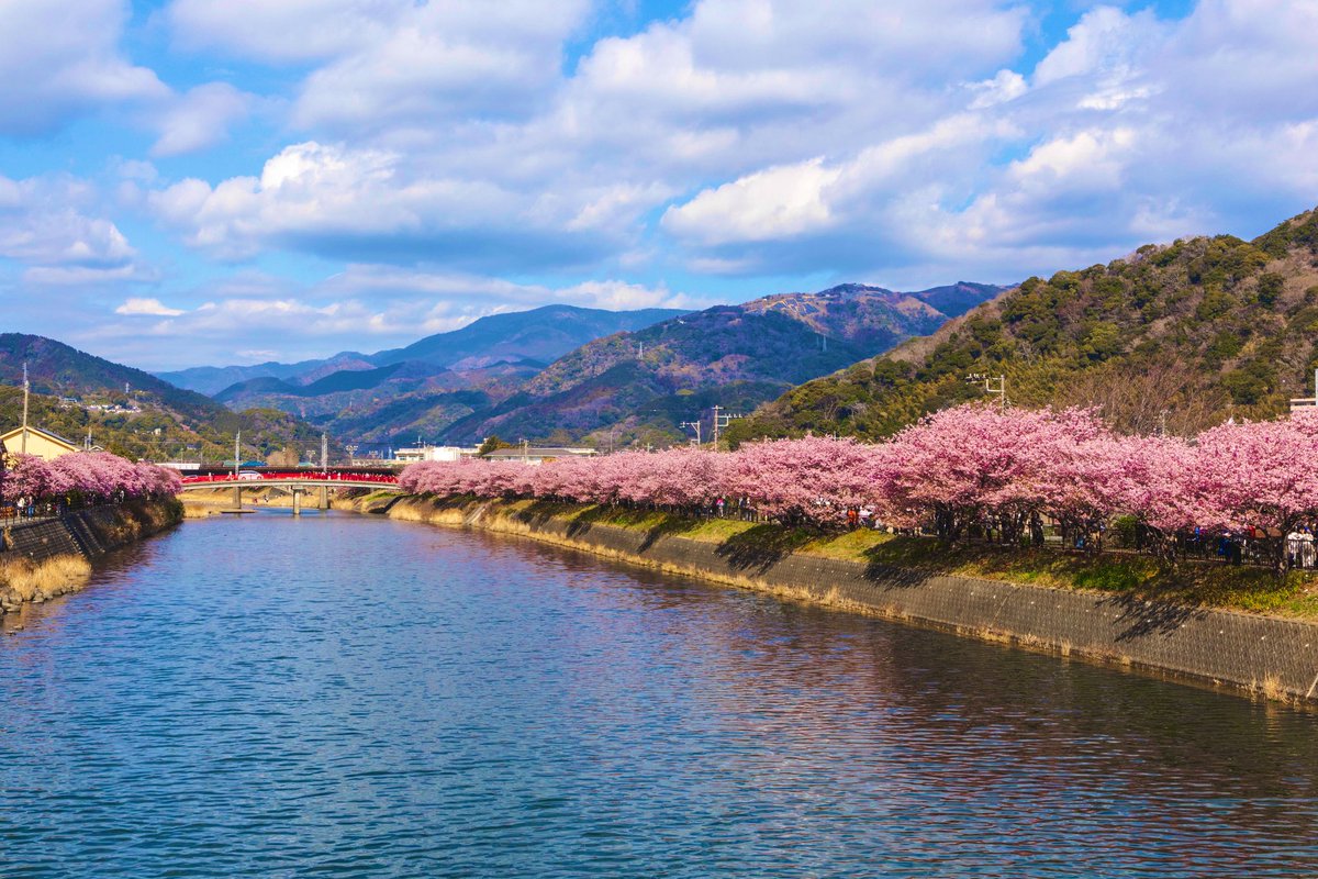 きりん tweet media