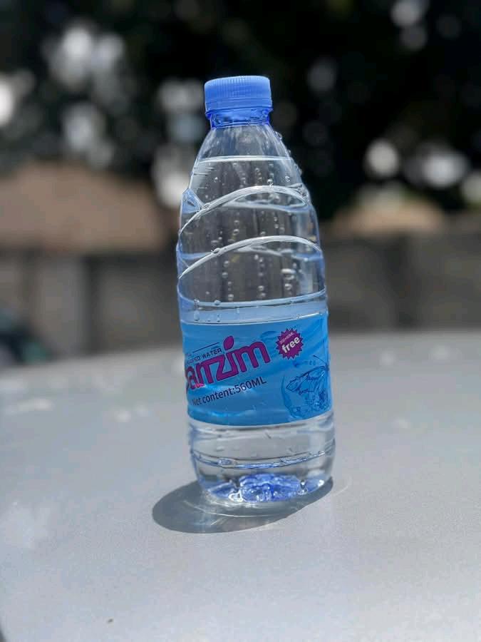 Chef Avocado tweet media