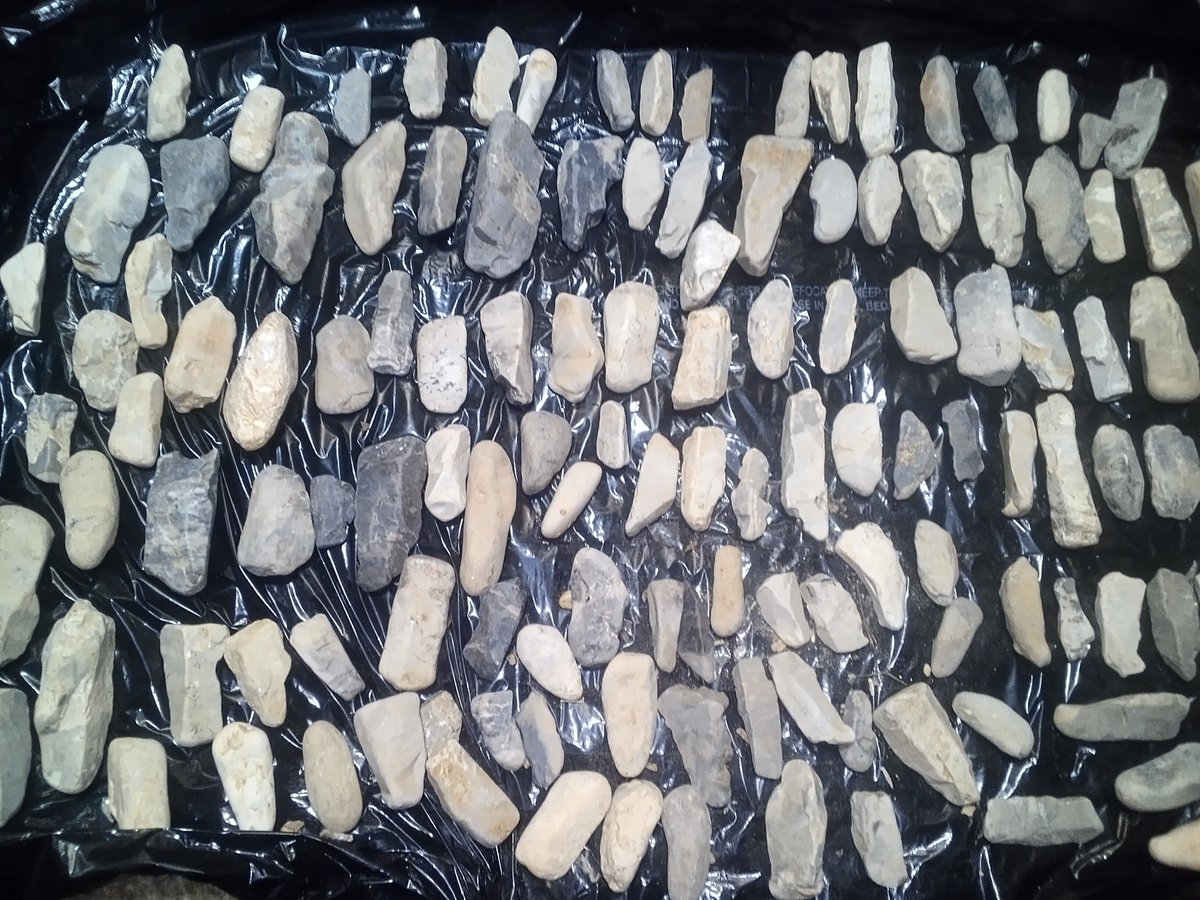 The Coffee Drinker tweet media