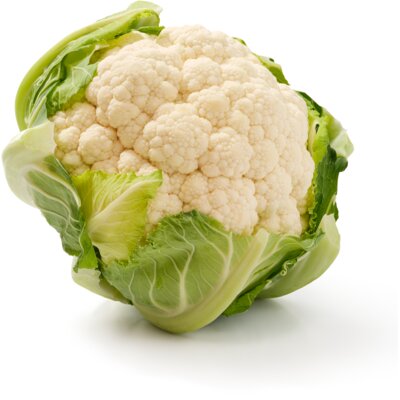 Joke Boon tweet media