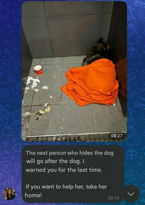 The Open Heart tweet media