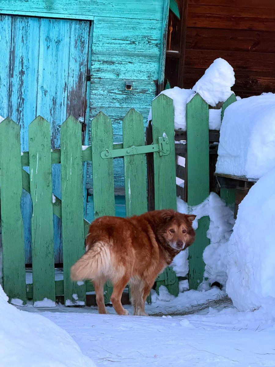 Доброе деревенское 🥰