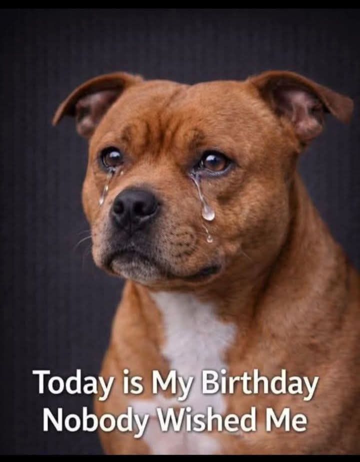 Arthur Collins tweet media