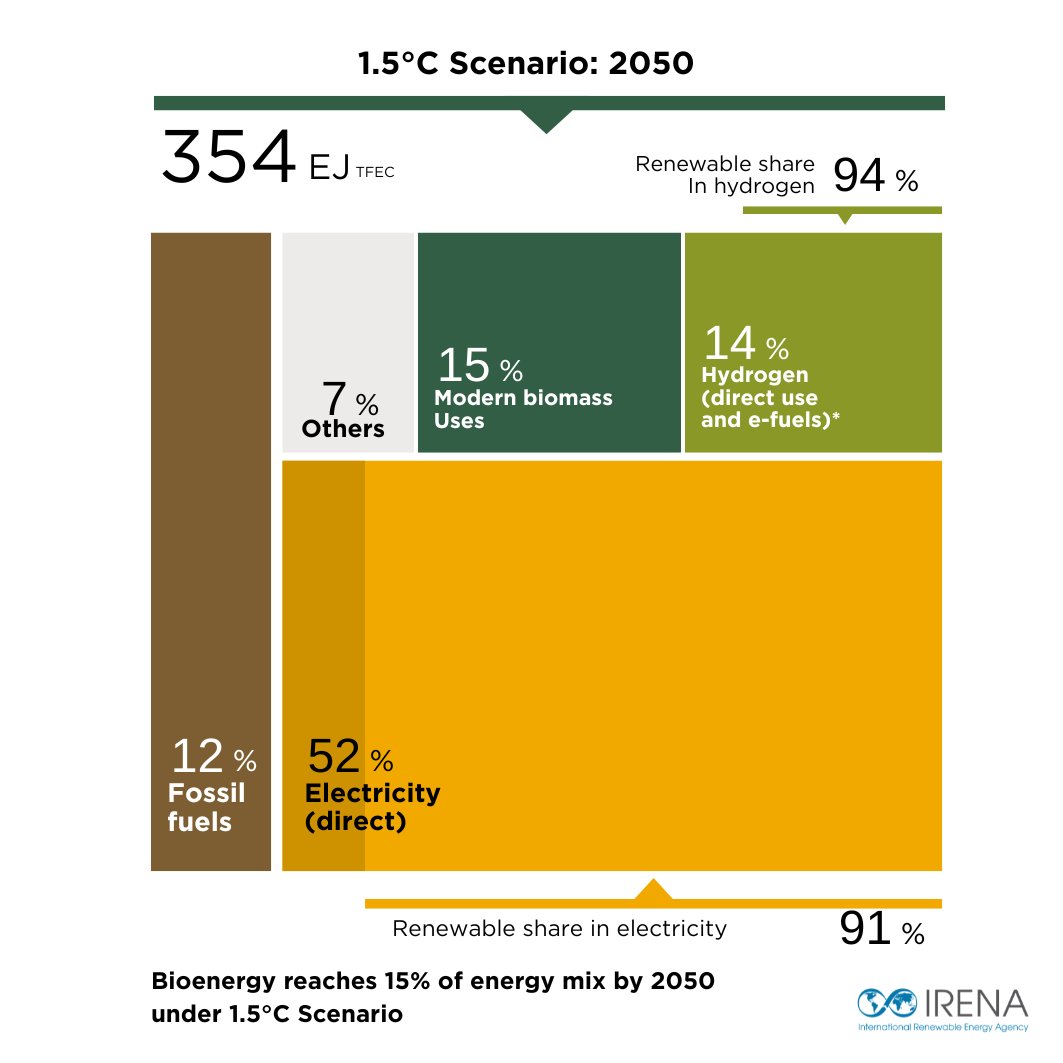 IRENA's tweet image. Under @IRENA's 1.5°C Scenario, liquid #biofuels will be a key component in decarbonising the transport sector. For road transport, increasing biofuel blending ratios is crucial for decarbonisation. Learn more from Brazil's experience: irena.org/Publications/2…