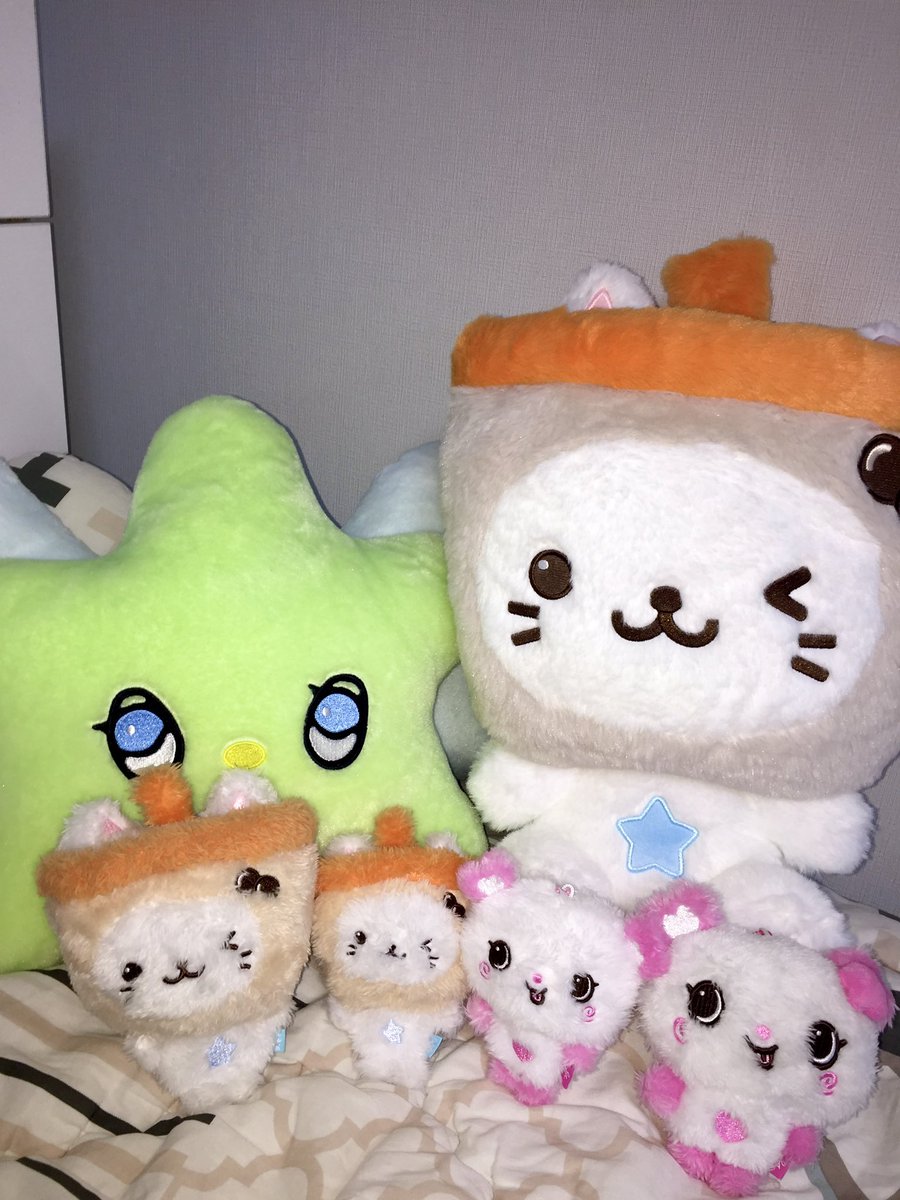 cywyssk's tweet photo. 어떤냥이머리왤케큼 https://t.co/dntoiS6kjD