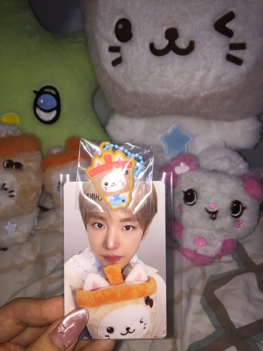 cywyssk's tweet photo. 어떤냥이머리왤케큼 https://t.co/dntoiS6kjD