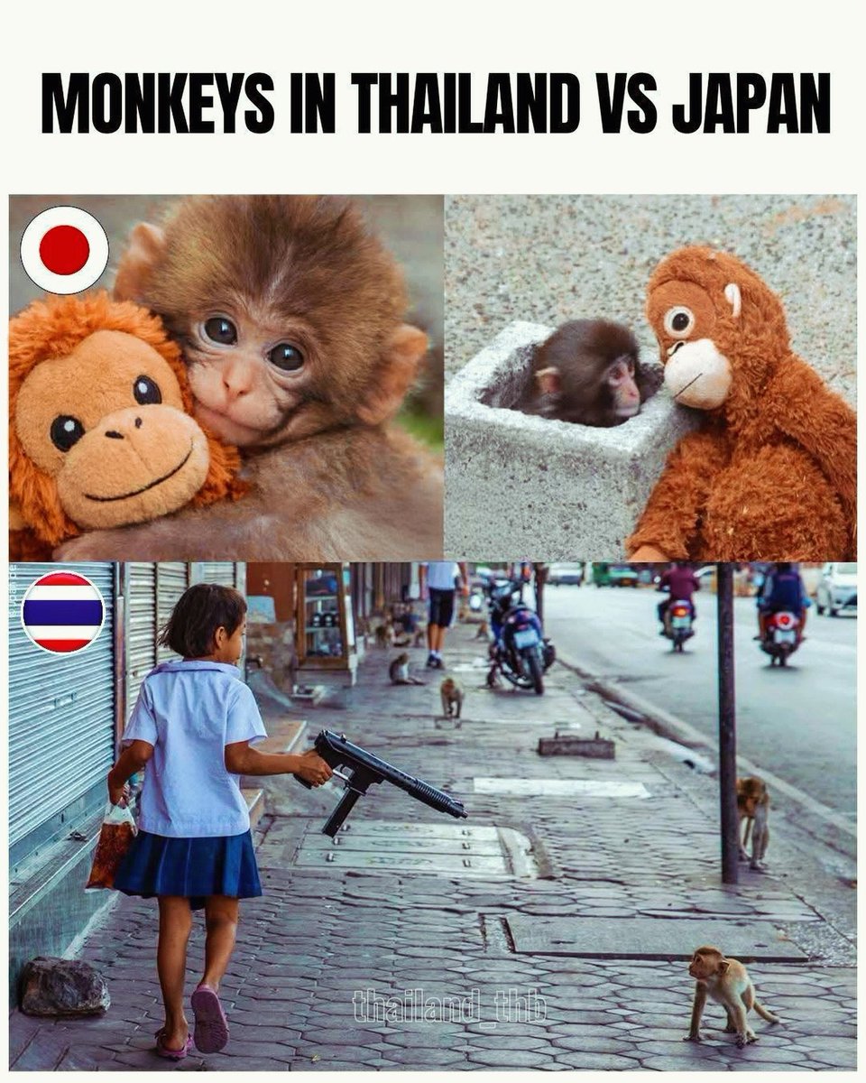 Tim Russell Photography 🇵🇸 (@timrussellphoto) on Twitter photo 