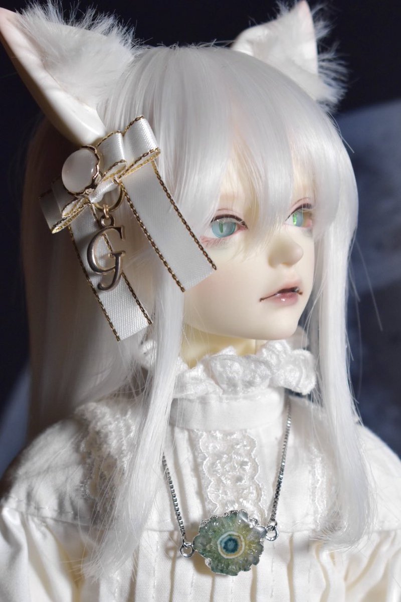 見比べ犾古🦊
 #みゅうっこ