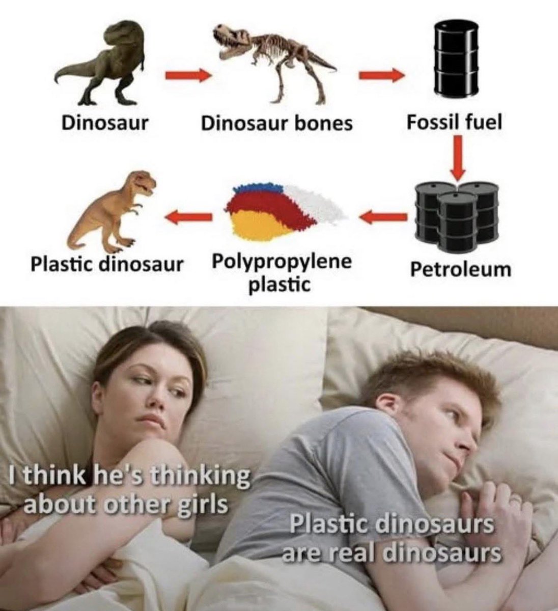 Out of Context Human Race tweet media