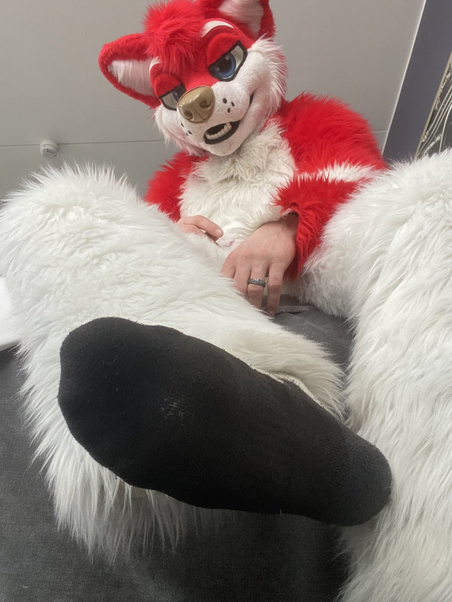 MX Dog 🥾🐾 🔜 ANE | NFC tweet media