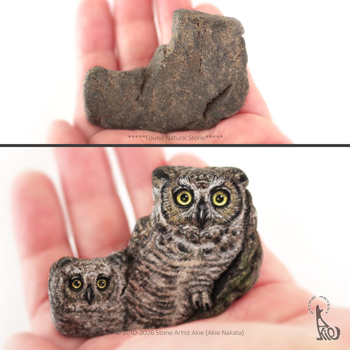 削れてくぼみがたくさんの石の中に、 美しいアメリカワシミミズクの