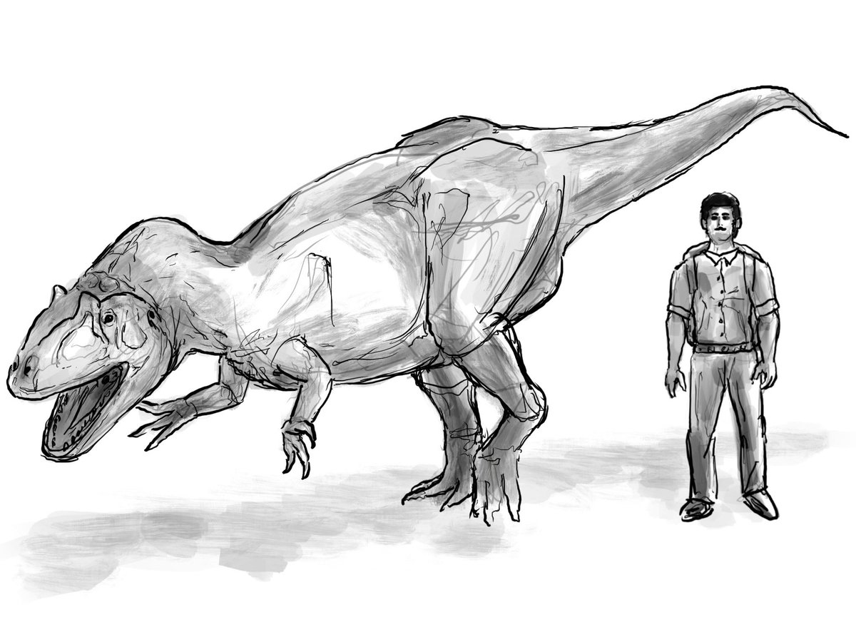rlatkdwls's tweet photo. Allosaurus sketch https://t.co/6f8ZNRdhq0