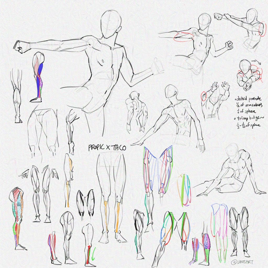 Hitting the gym! I used a lot of propic x <a href="/taco1704/">타코작가</a> drawing guides and the book "Anatomy for Sculptors" to learn.